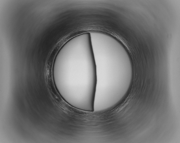 X0000110320723200905211205