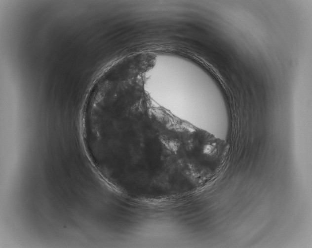 X0000110320725200905211205
