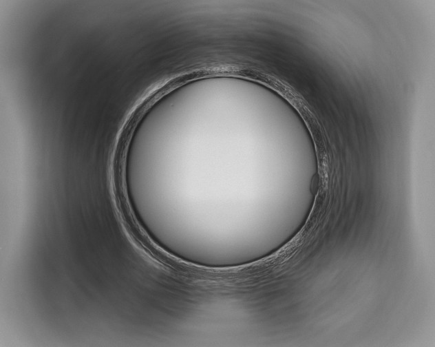 X0000110320726200905211205