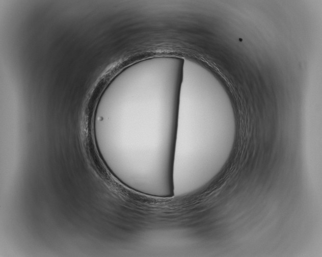 X0000110320727200905211205