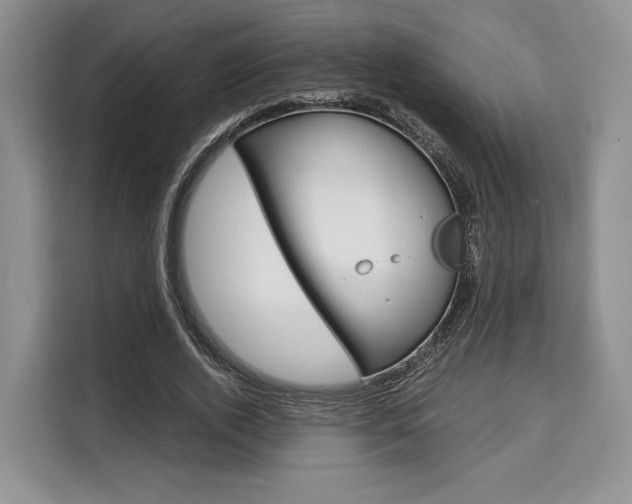 X0000110320728200905211205