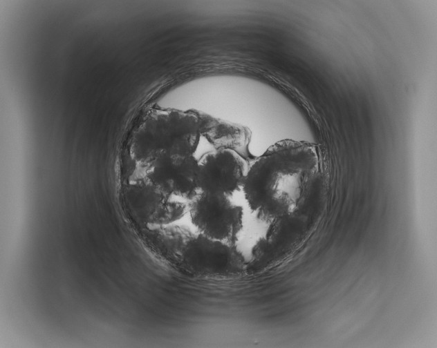 X0000110320729200905211205