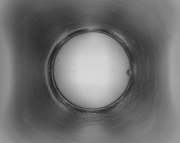 X0000110320730200905211205