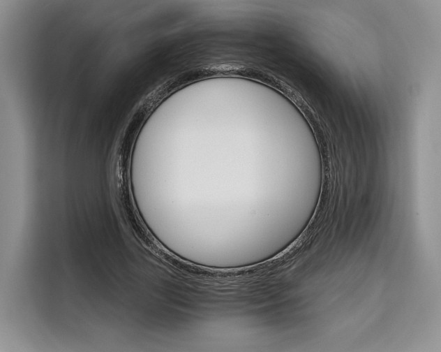 X0000110320731200905211205