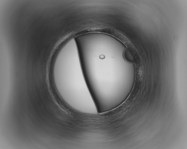 X0000110320732200905211205