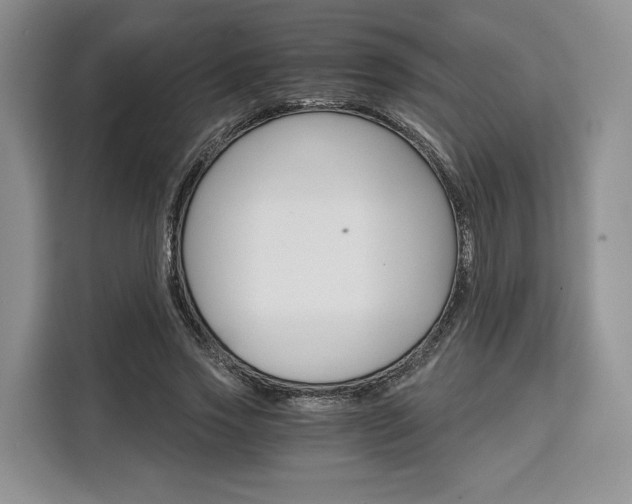 X0000110320733200905211205