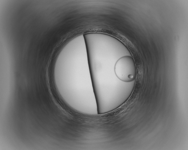X0000110320734200905211205