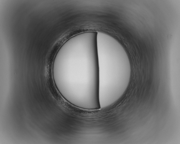 X0000110320735200905211205