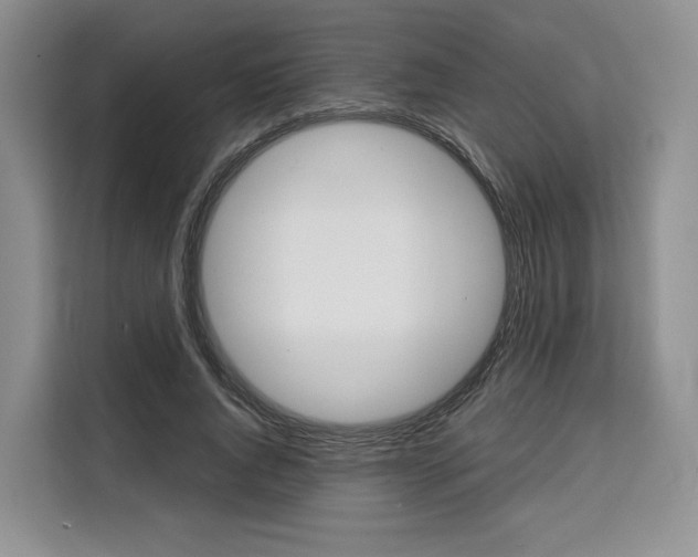 X0000110320736200905211205