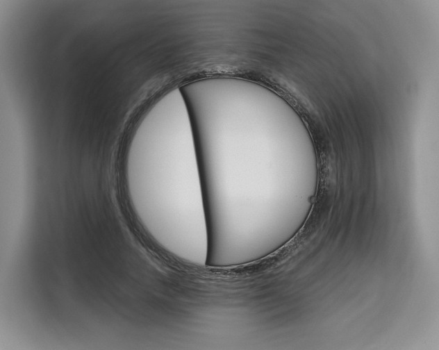 X0000110320738200905211205
