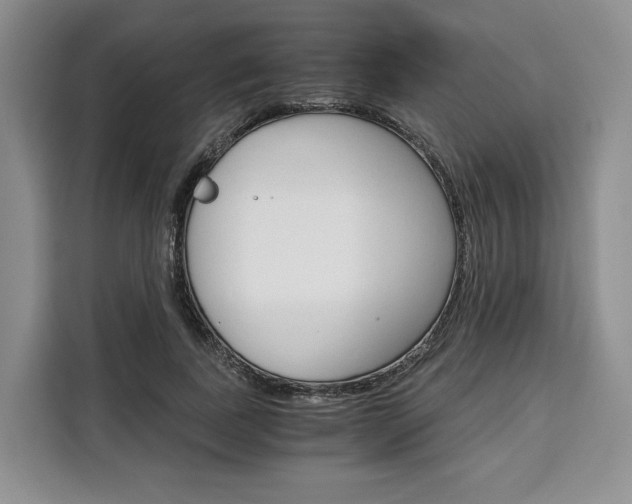 X0000110320739200905211205