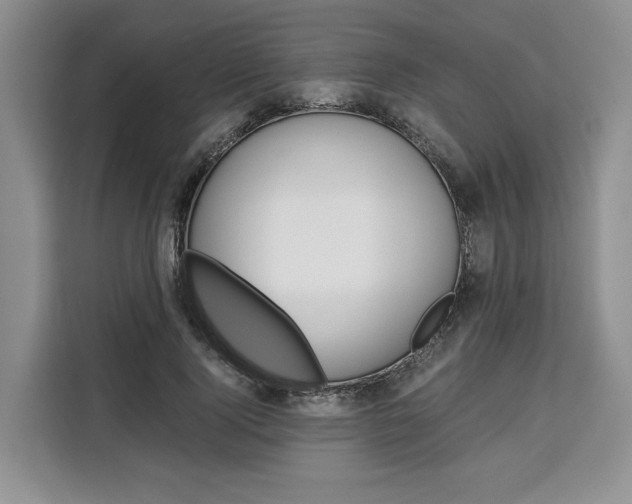X0000110320740200905211205