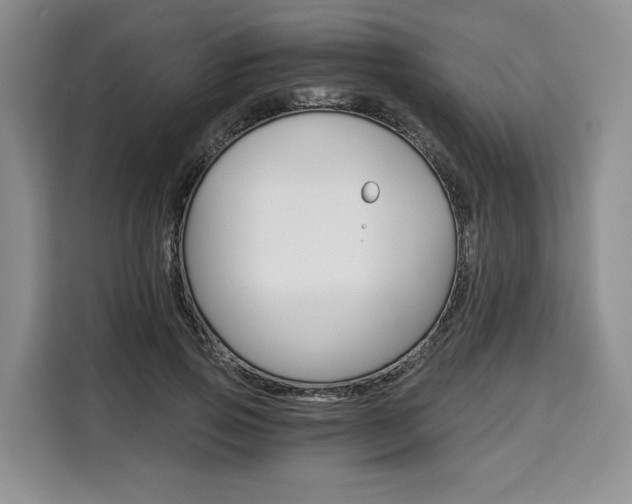 X0000110320741200905211205