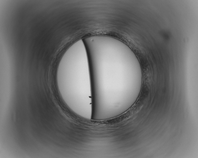 X0000110320742200905211205