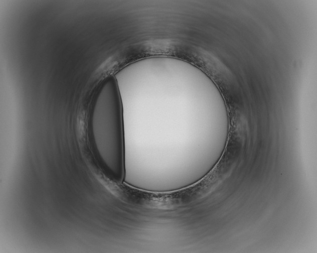 X0000110320744200905211205
