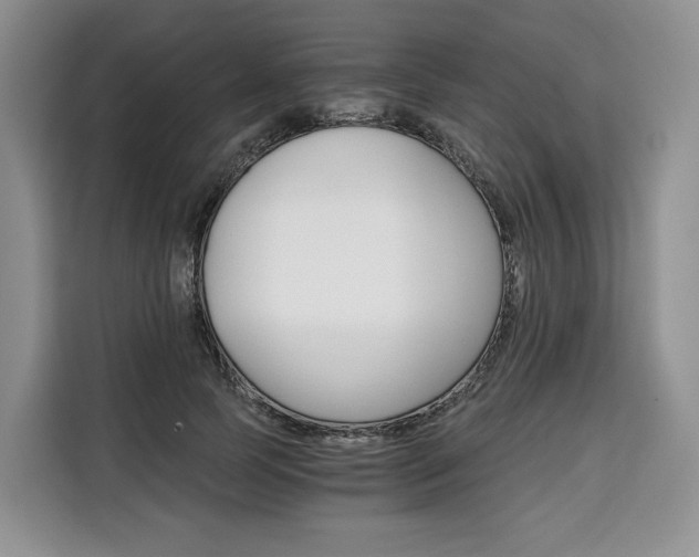 X0000110320745200905211205