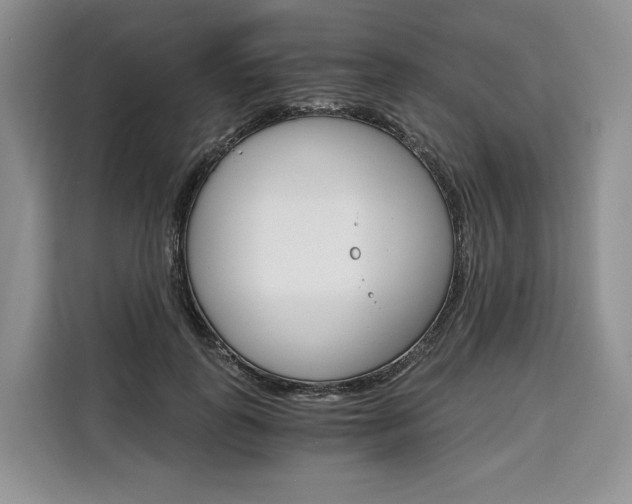 X0000110320747200905211205