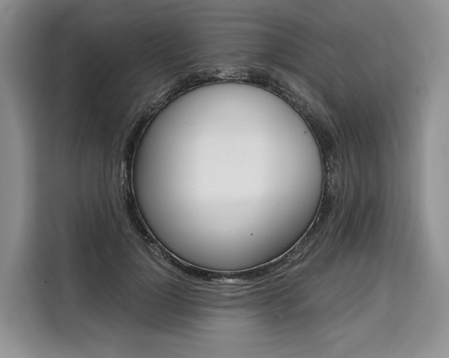 X0000110320748200905211205