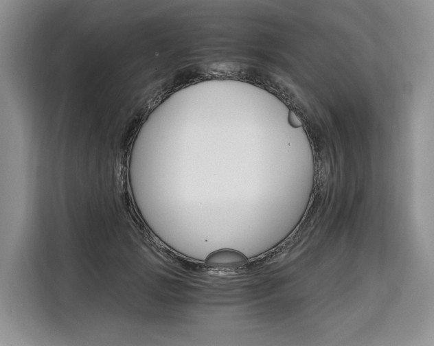 X0000110320749200905211205