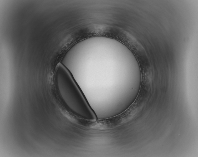 X0000110320750200905211205