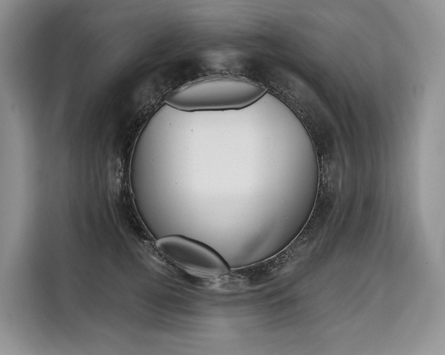 X0000110320752200905211205