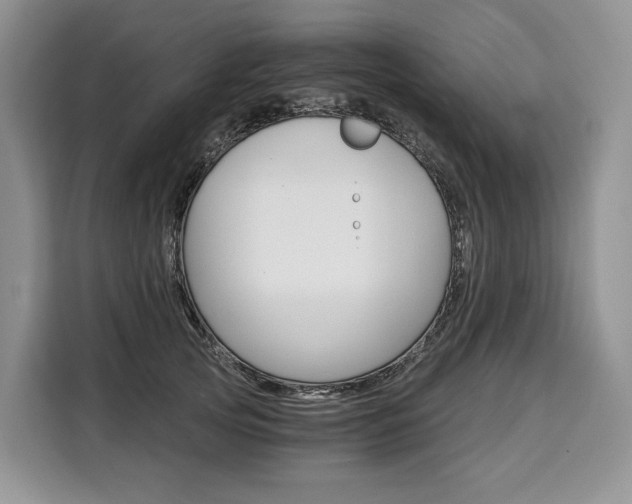 X0000110320753200905211205