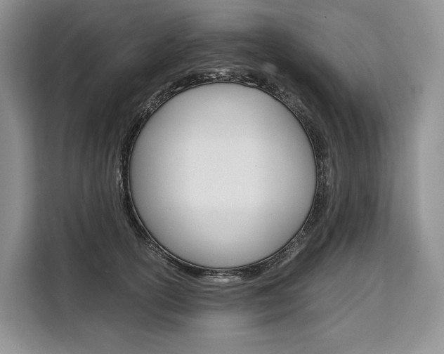 X0000110320754200905211205