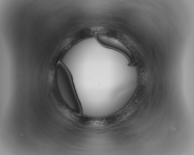 X0000110320756200905211205