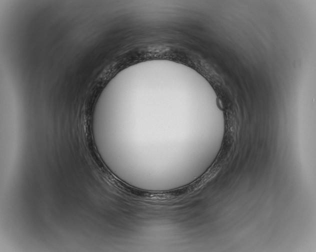 X0000110320758200905211205