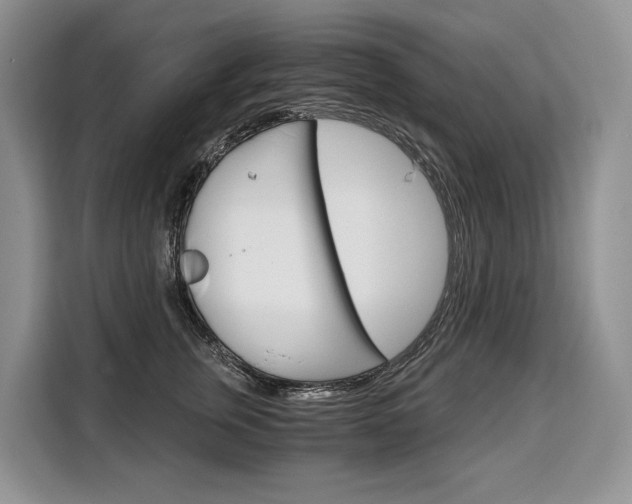 X0000110320759200905211205