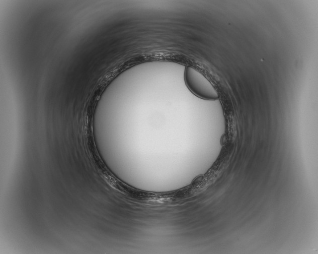 X0000110320760200905211205