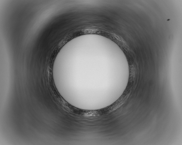 X0000110320761200905211205