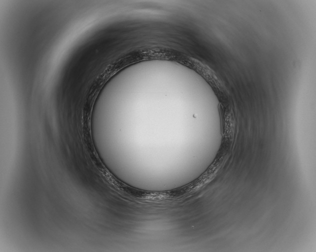 X0000110320762200905211205