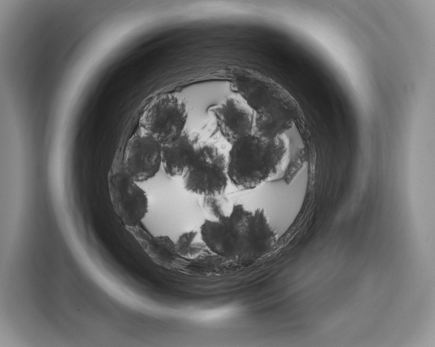 X0000110320765200905211205