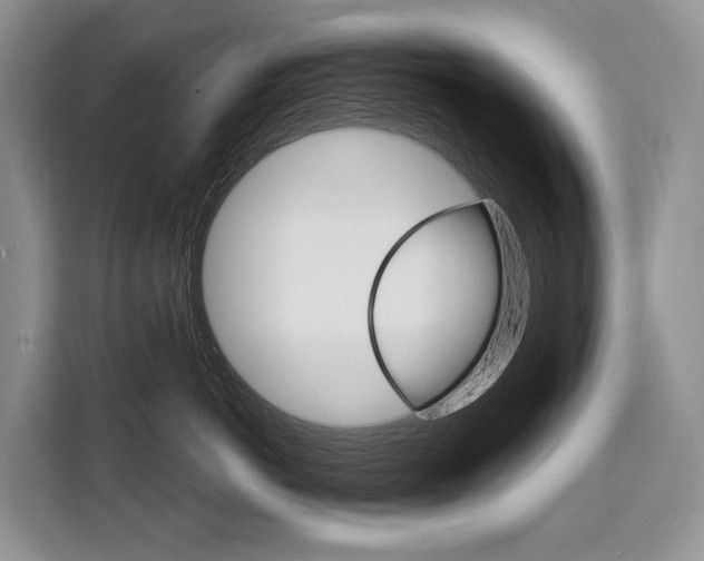 X0000110320766200905211205