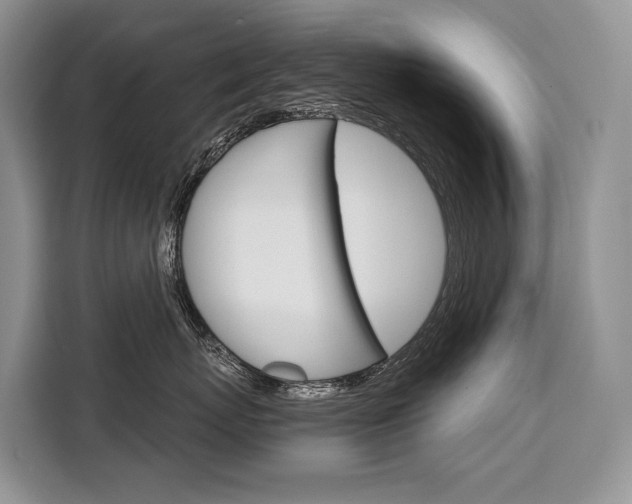 X0000110320767200905211205