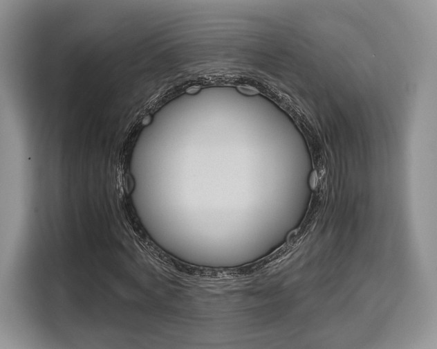 X0000110320772200905211205