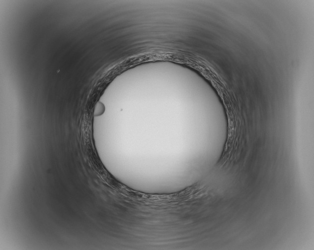 X0000110320773200905211205