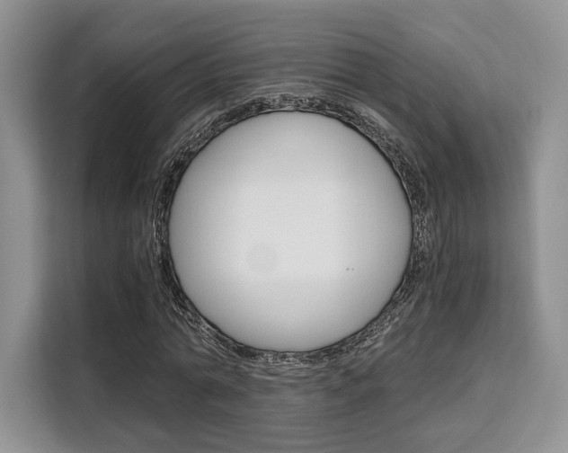 X0000110320774200905211205