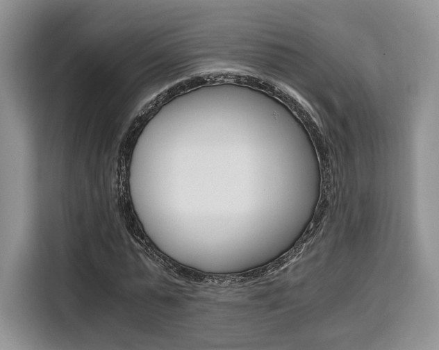 X0000110320775200905211205