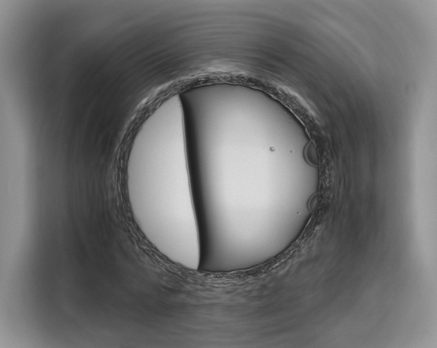 X0000110320776200905211205