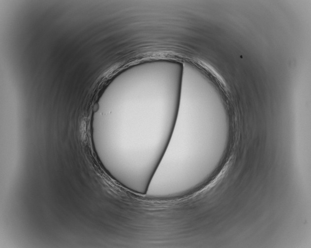 X0000110320777200905211205