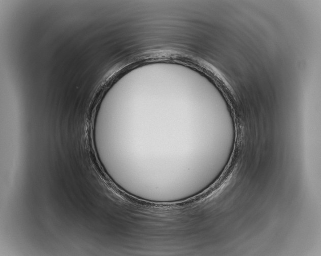 X0000110320778200905211205
