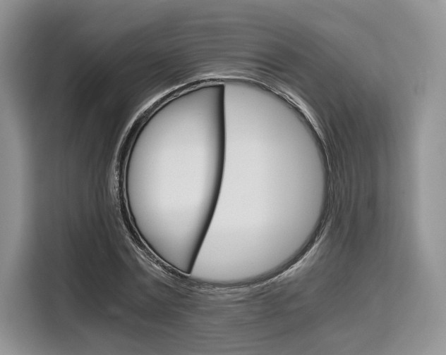 X0000110320779200905211205