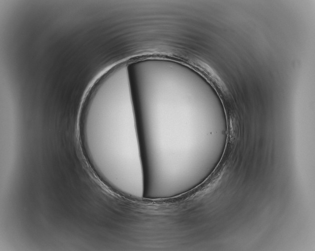 X0000110320780200905211205