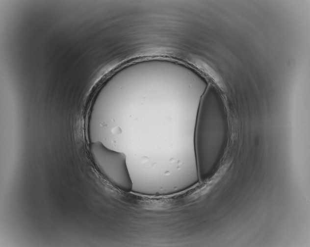 X0000110320781200905211205