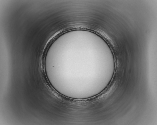 X0000110320782200905211205