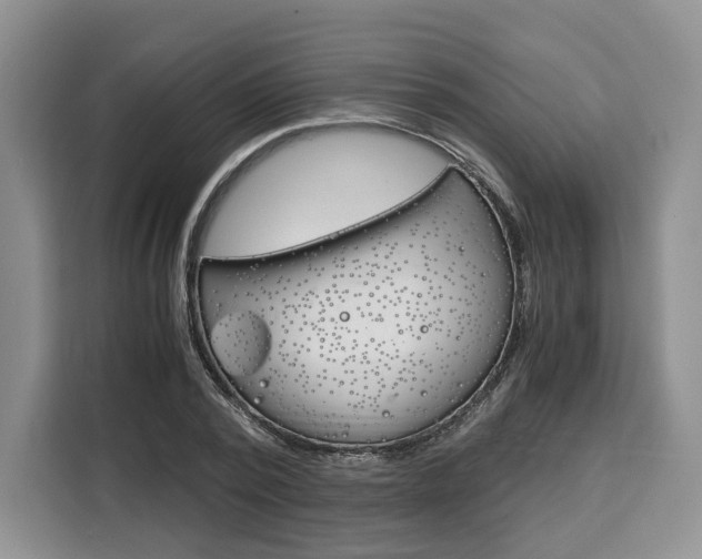 X0000110320784200905211205