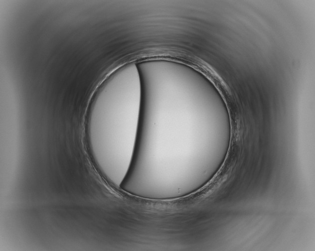 X0000110320786200905211205