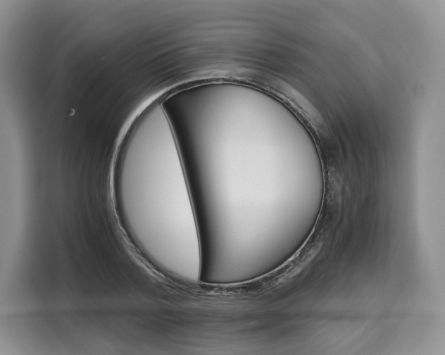 X0000110320788200905211205